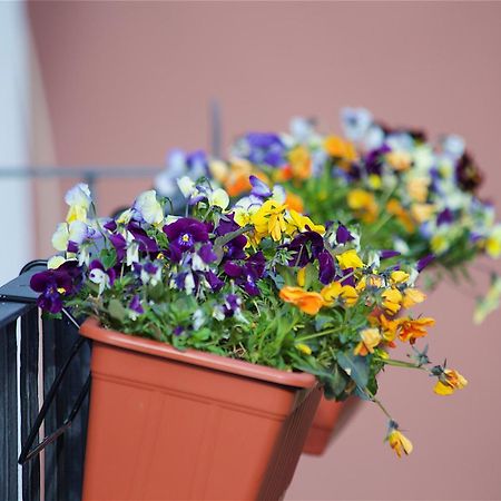 ソレント イル ジアルディーノ セグレト Bed & Breakfast エクステリア 写真