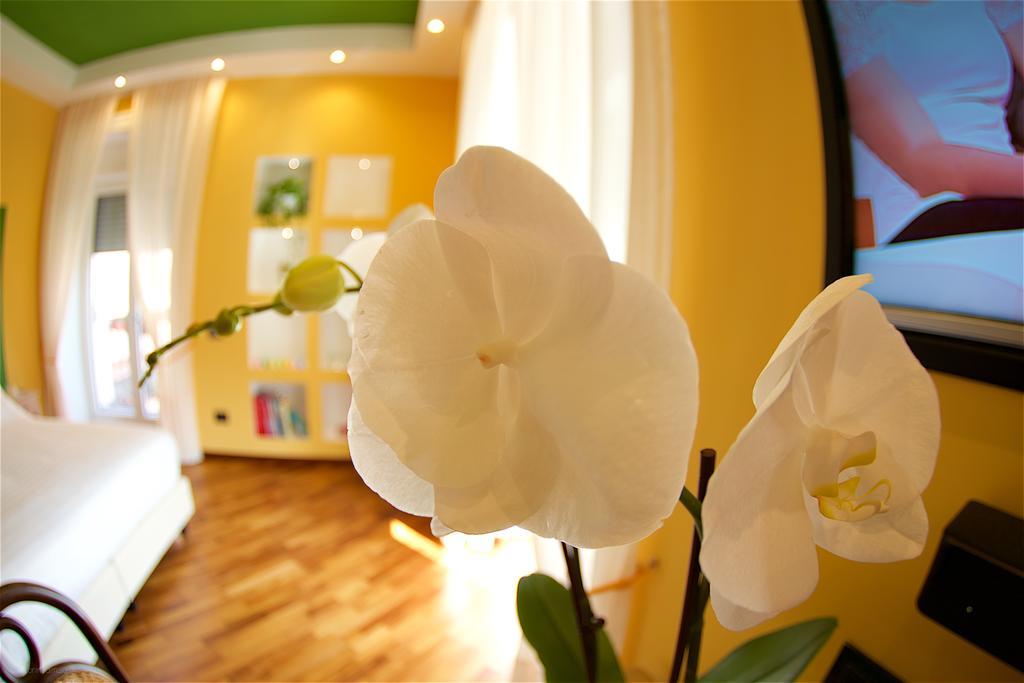 ソレント イル ジアルディーノ セグレト Bed & Breakfast エクステリア 写真